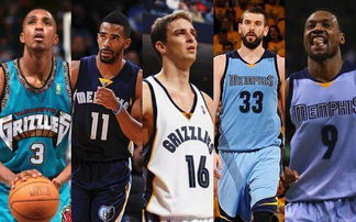 开发阶段 开发阶段